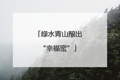 绿水青山酿出“幸福蜜”
