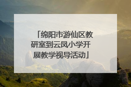 绵阳市游仙区教研室到云凤小学开展教学视导活动