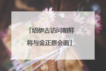 绍伊古访问朝鲜 将与金正恩会面