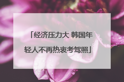 经济压力大 韩国年轻人不再热衷考驾照