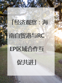 经济观察：海南自贸港与RCEP区域合作互促共进