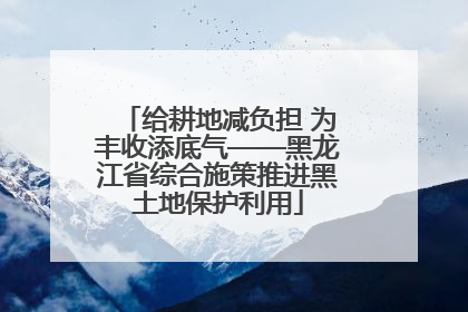 给耕地减负担 为丰收添底气——黑龙江省综合施策推进黑土地保护利用