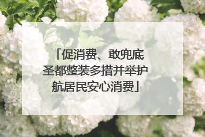 促消费、敢兜底 圣都整装多措并举护航居民安心消费