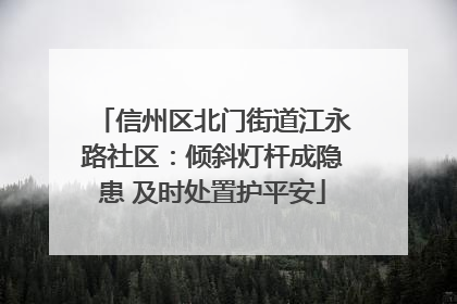 信州区北门街道江永路社区：倾斜灯杆成隐患 及时处置护平安