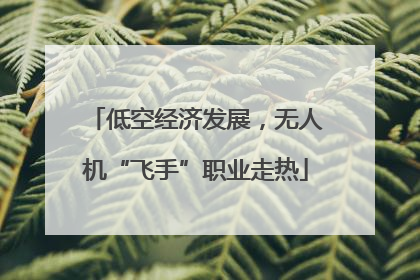 低空经济发展，无人机“飞手”职业走热