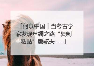 何以中国丨当考古学家发现丝绸之路“复制粘贴”版驼夫……