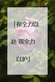 你全力以赴 我全力以护