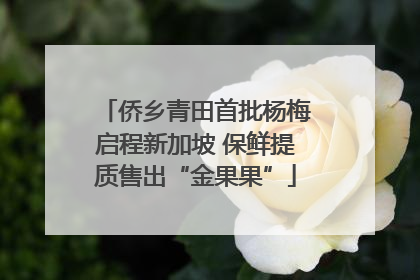 侨乡青田首批杨梅启程新加坡 保鲜提质售出“金果果”