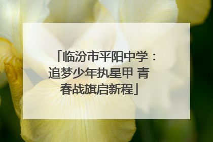 临汾市平阳中学：追梦少年执星甲 青春战旗启新程
