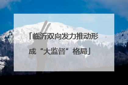 临沂双向发力推动形成“大监督”格局