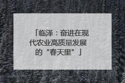 临泽：奋进在现代农业高质量发展的“春天里”