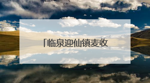 临泉迎仙镇麦收进行时：农机手“无忧作业”背后的服务温度
