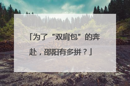 为了“双肩包”的奔赴，邵阳有多拼？
