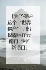 为了保护这个“世界遗产”，蚂蚁森林在云南再“种”新项目