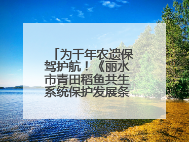 为千年农遗保驾护航！《丽水市青田稻鱼共生系统保护发展条例》正式施行