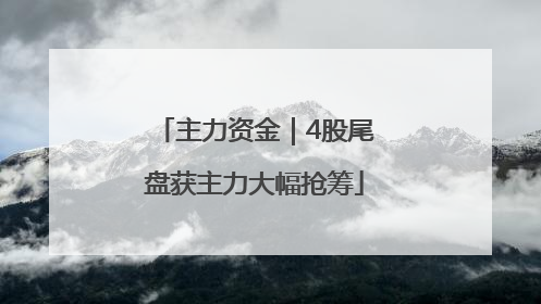 主力资金｜4股尾盘获主力大幅抢筹