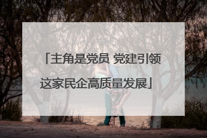主角是党员 党建引领这家民企高质量发展