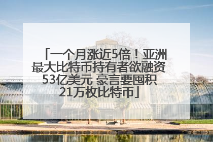 一个月涨近5倍！亚洲最大比特币持有者欲融资53亿美元 豪言要囤积21万枚比特币