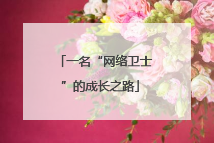 一名“网络卫士”的成长之路