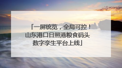 一屏统览，全局可控！山东港口日照港粮食码头数字孪生平台上线