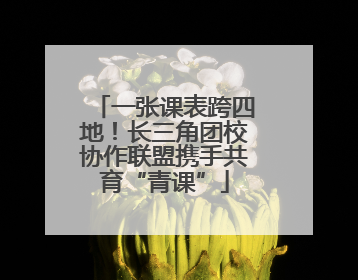 一张课表跨四地！长三角团校协作联盟携手共育“青课”