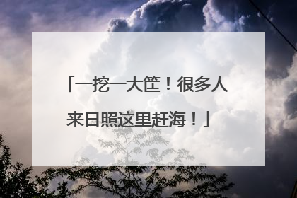一挖一大筐！很多人来日照这里赶海！
