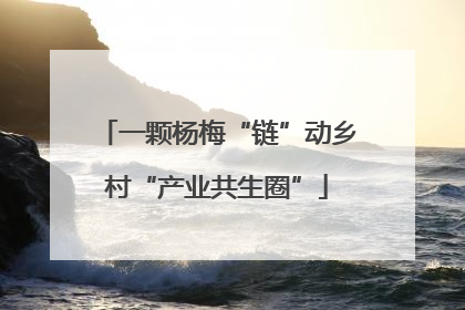 一颗杨梅“链”动乡村“产业共生圈”