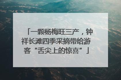一颗杨梅旺三产，钟祥长滩四季采摘带给游客“舌尖上的惊喜”