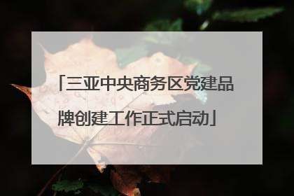 三亚中央商务区党建品牌创建工作正式启动