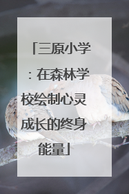 三原小学：在森林学校绘制心灵成长的终身能量