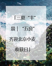 三夏“丰”景｜“五良”齐迎北京小麦收获日
