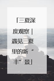 三夏深度观察｜遇见三夏里的新“丰”景