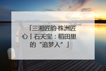 三湘匠韵·株洲匠心丨石天宝：稻田里的“追梦人”