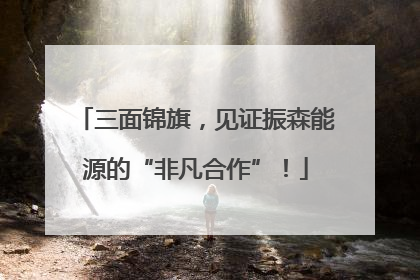 三面锦旗，见证振森能源的“非凡合作”！