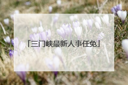 三门峡最新人事任免