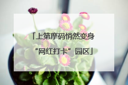 上第摩码悄然变身“网红打卡”园区