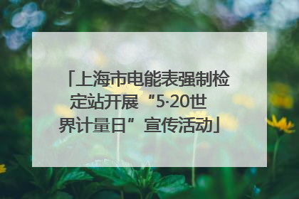 上海市电能表强制检定站开展“5·20世界计量日”宣传活动