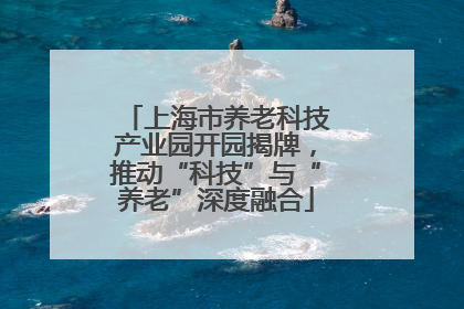 上海市养老科技产业园开园揭牌，推动“科技”与“养老”深度融合