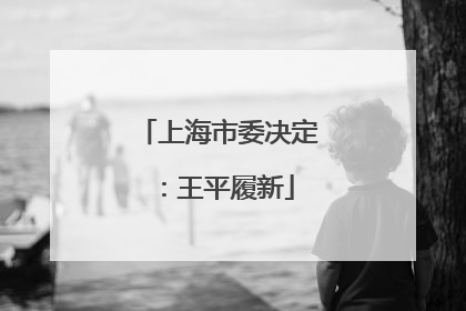 上海市委决定：王平履新