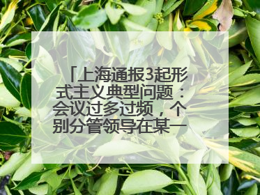 上海通报3起形式主义典型问题：会议过多过频，个别分管领导在某一天同一时段需参加3个会议