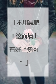 不用减肥！这面墙上有好“多肉”