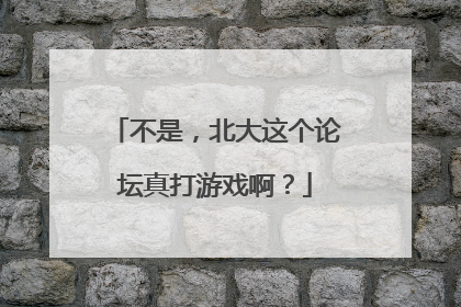 不是，北大这个论坛真打游戏啊？