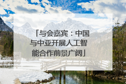 与会嘉宾：中国与中亚开展人工智能合作前景广阔