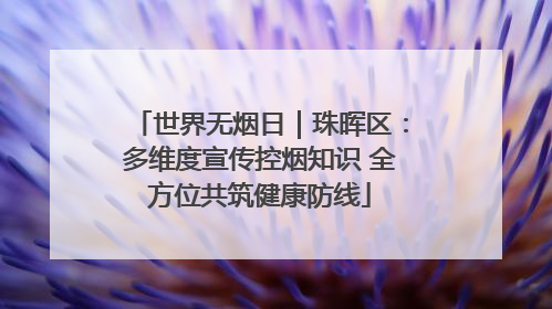 世界无烟日｜珠晖区：多维度宣传控烟知识 全方位共筑健康防线
