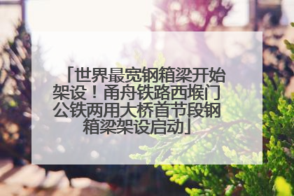 世界最宽钢箱梁开始架设！甬舟铁路西堠门公铁两用大桥首节段钢箱梁架设启动
