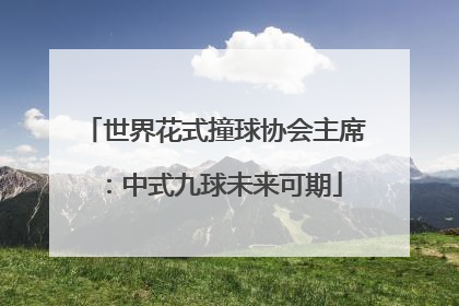 世界花式撞球协会主席：中式九球未来可期