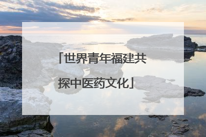 世界青年福建共探中医药文化