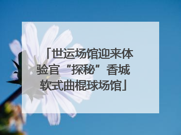 世运场馆迎来体验官“探秘”香城软式曲棍球场馆