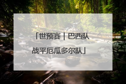 世预赛｜巴西队战平厄瓜多尔队