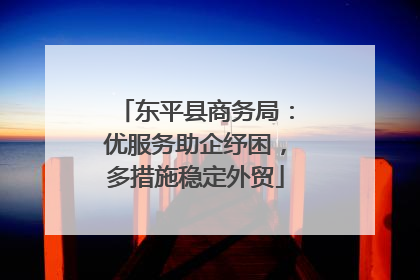 东平县商务局：优服务助企纾困，多措施稳定外贸
